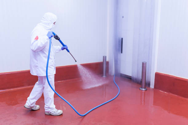 Best Sidewalk and Walkway Cleaning  in Waukomis, OK